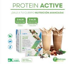 Protein active fit (chocolate y avellanas)(vainilla y canela)