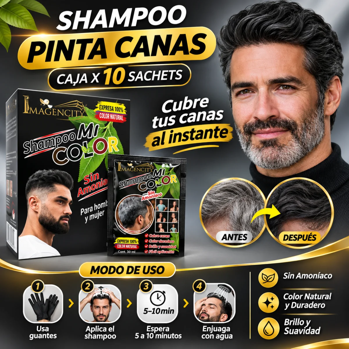SHAMPOO PINTA CANAS CAJAX10