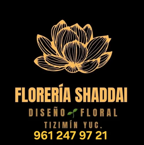 FLORERÍA SHADDAI TIZIMÍN YUCATÁN