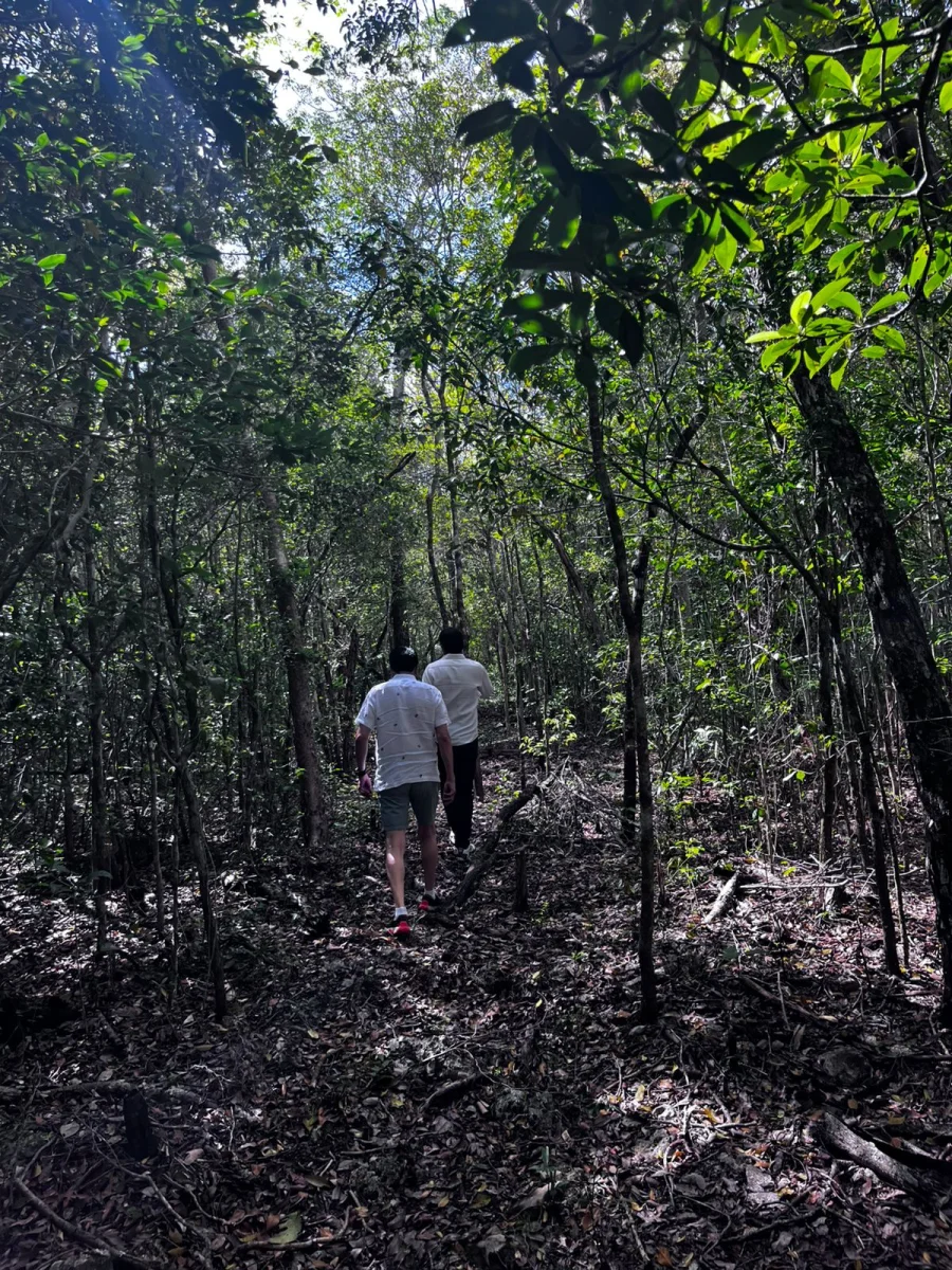 Terrenos de 1 hectáreas cerca del aeropuerto de tulum