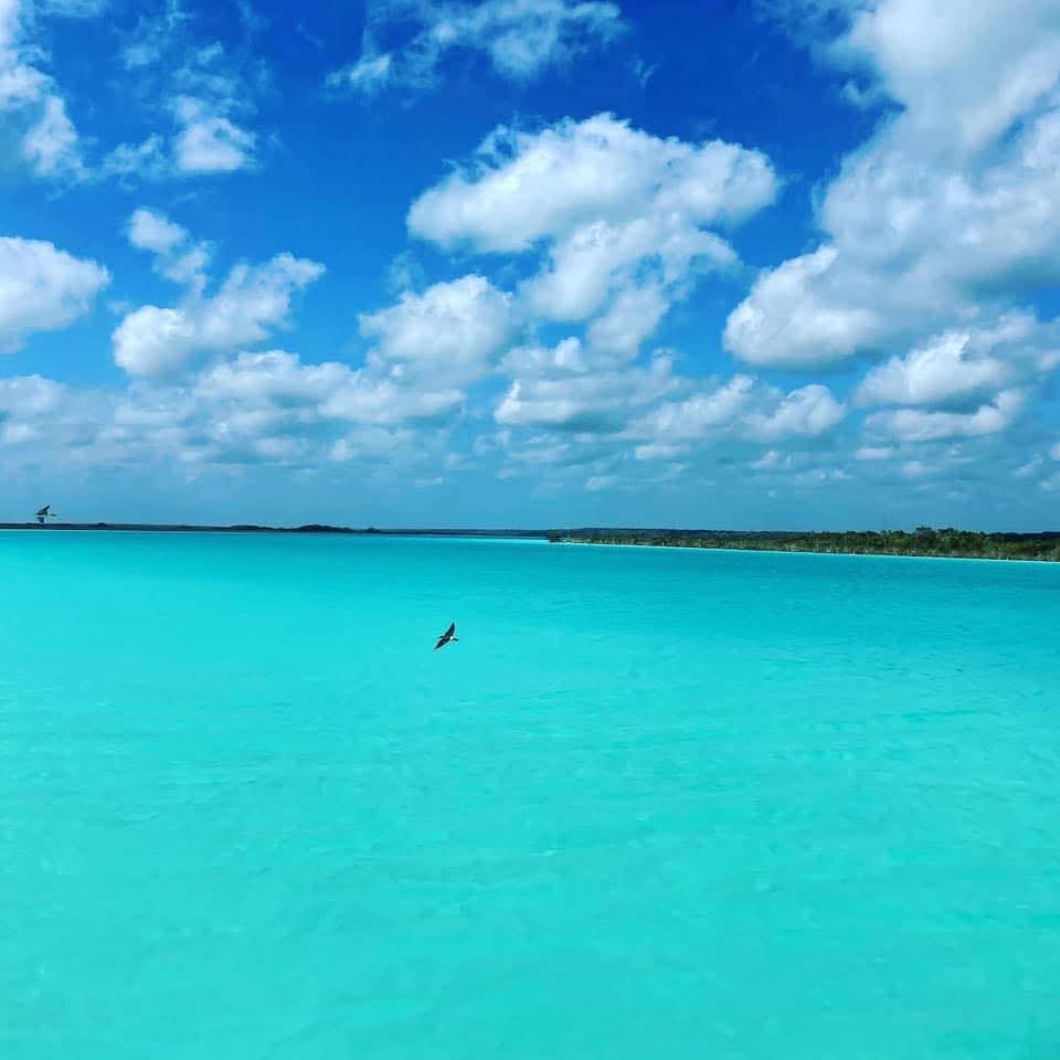 Terreno de 20 hectáreas con 405 metros de frente a la bahia de chetumal, excelente para desarrollo