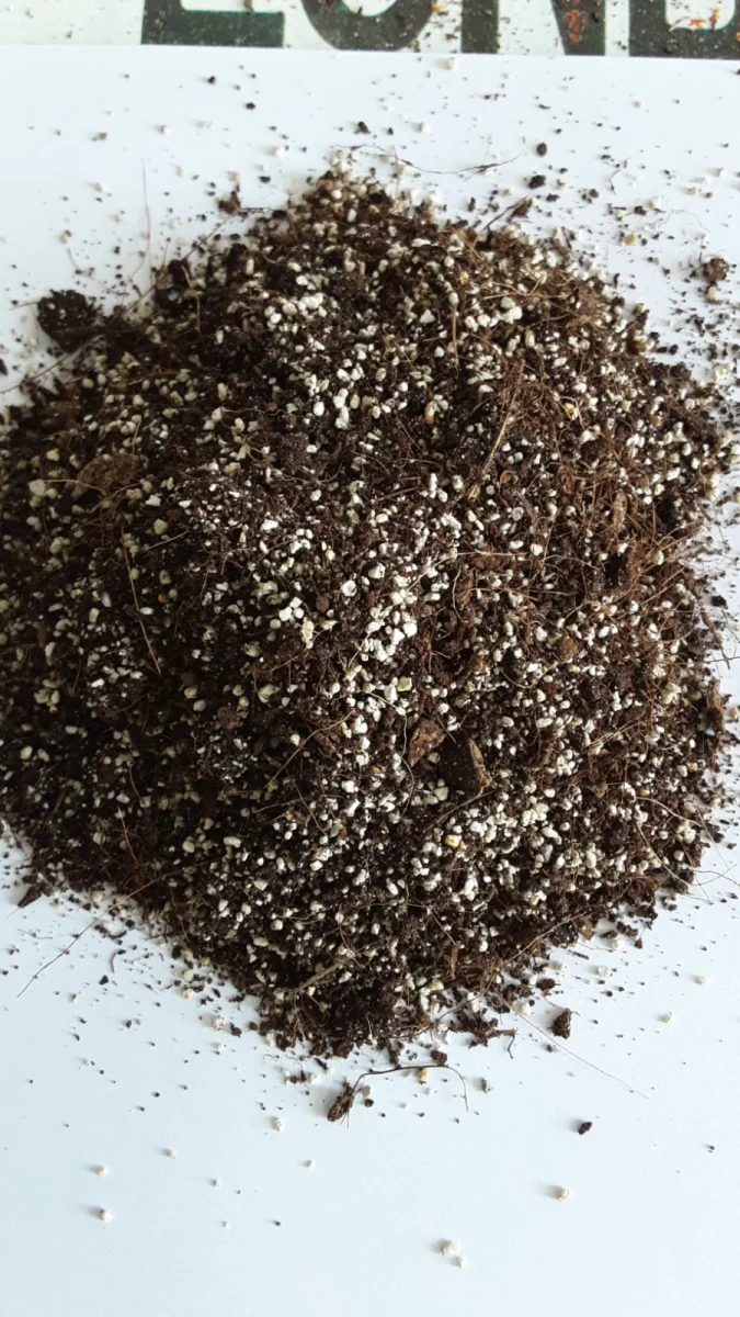 Fibra de coco +perlita