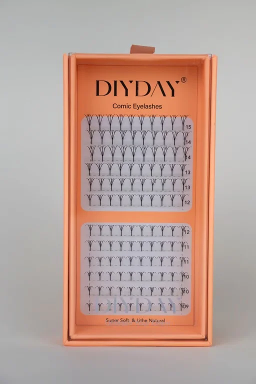 DIYDAY Comic C