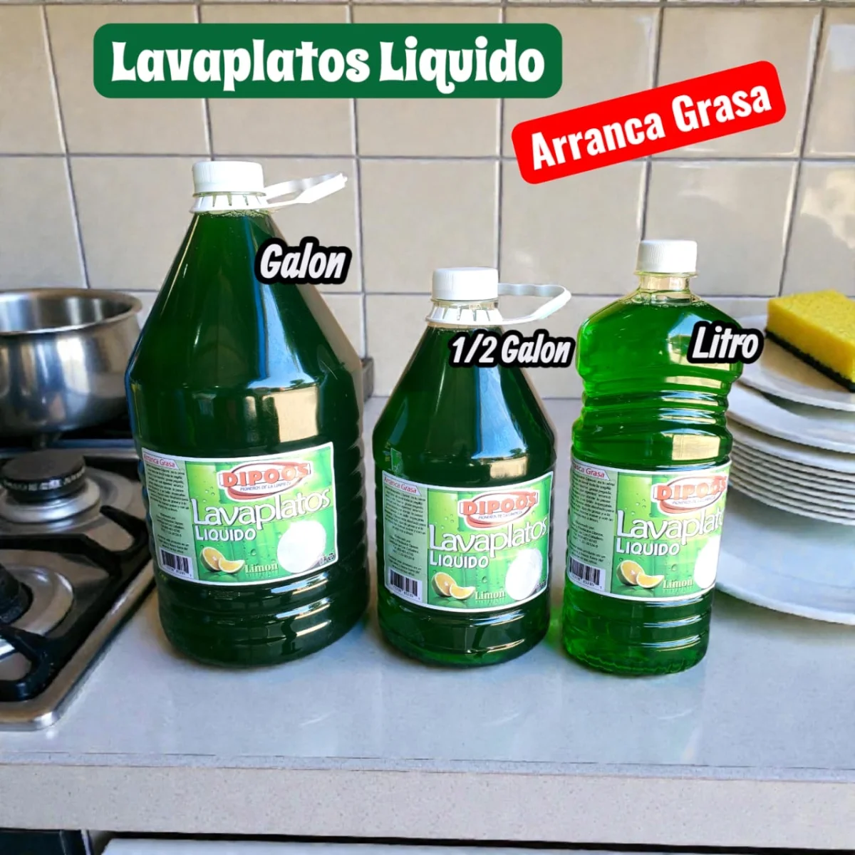 Lavaplatos medio galon